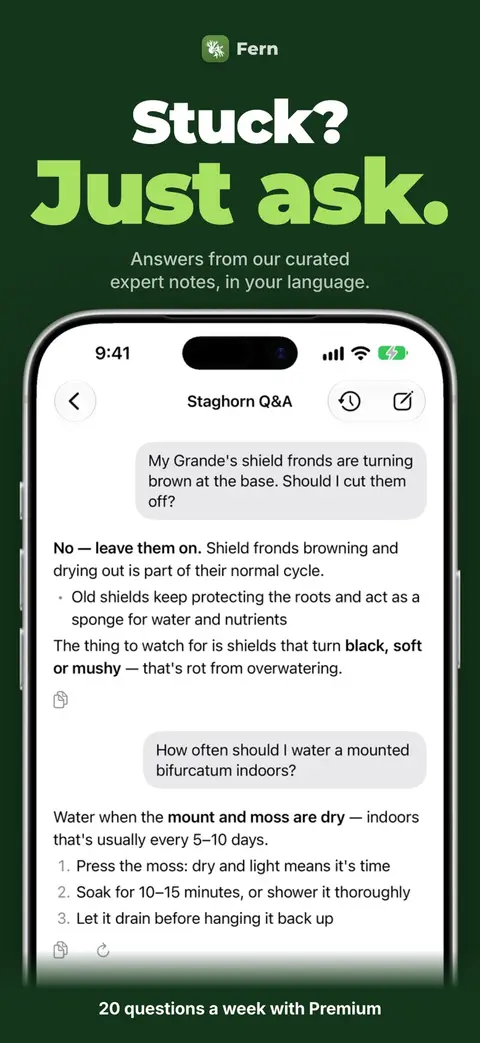 Stuck? Just ask.